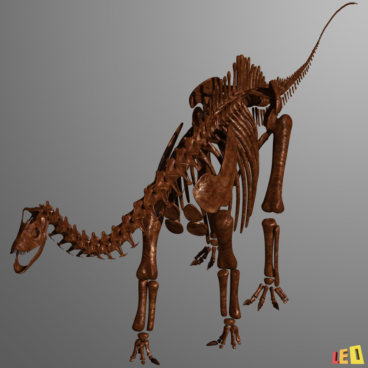 skeleton diplodocus