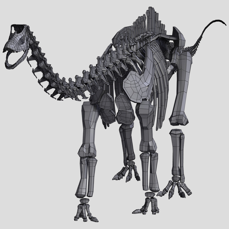 skeleton diplodocus