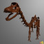 skeleton diplodocus