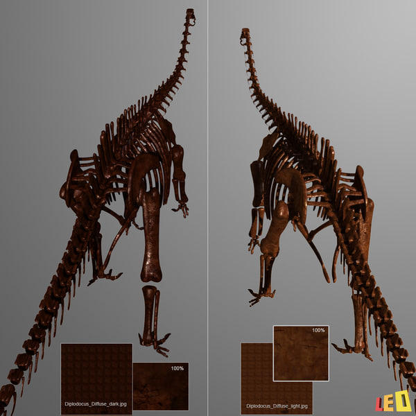 dino dig site diplodocus