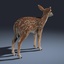 3d model fawn fur animation