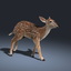 3d model fawn fur animation