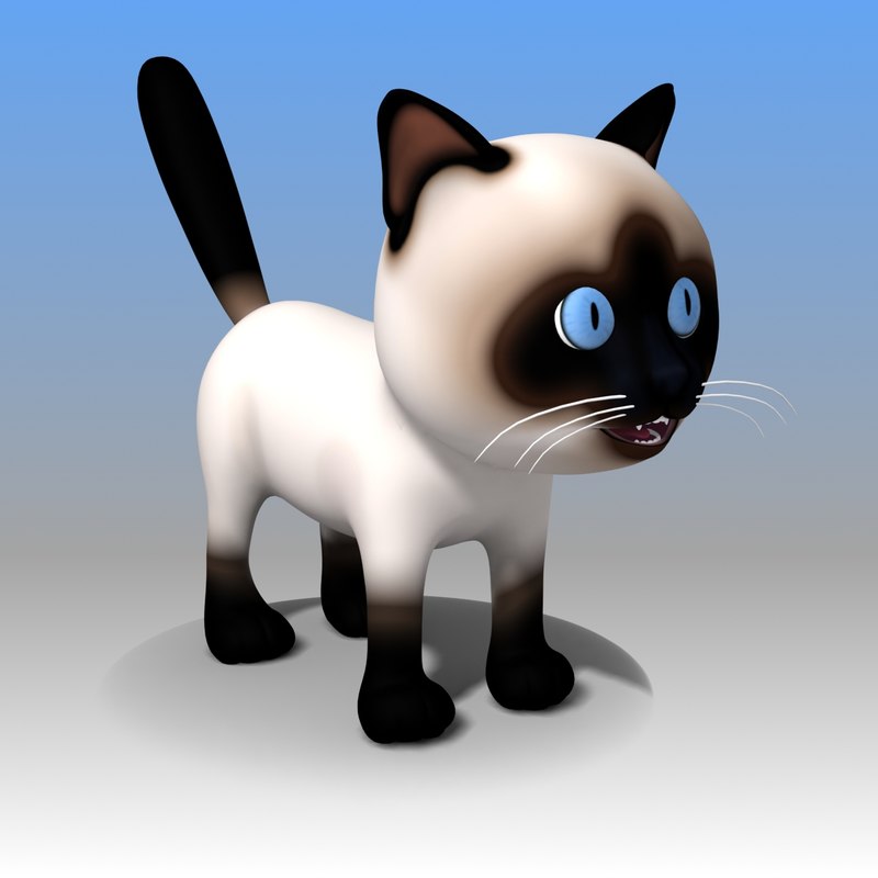  3d  model cat  cartoon  kitty