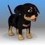 3ds max dog doggy rottweiler