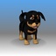3ds max dog doggy rottweiler