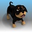 3d model dog doggy rottweiler