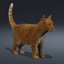 3d model cat orange tabby fur