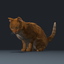 3d model cat orange tabby fur