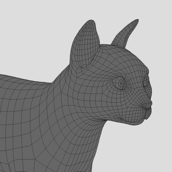 maya cat mackerel tabby fur