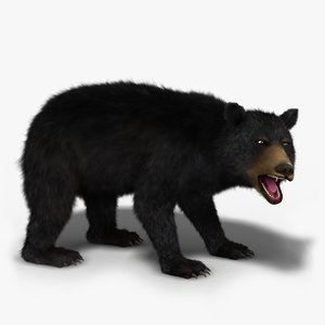 max black bear rigged -
