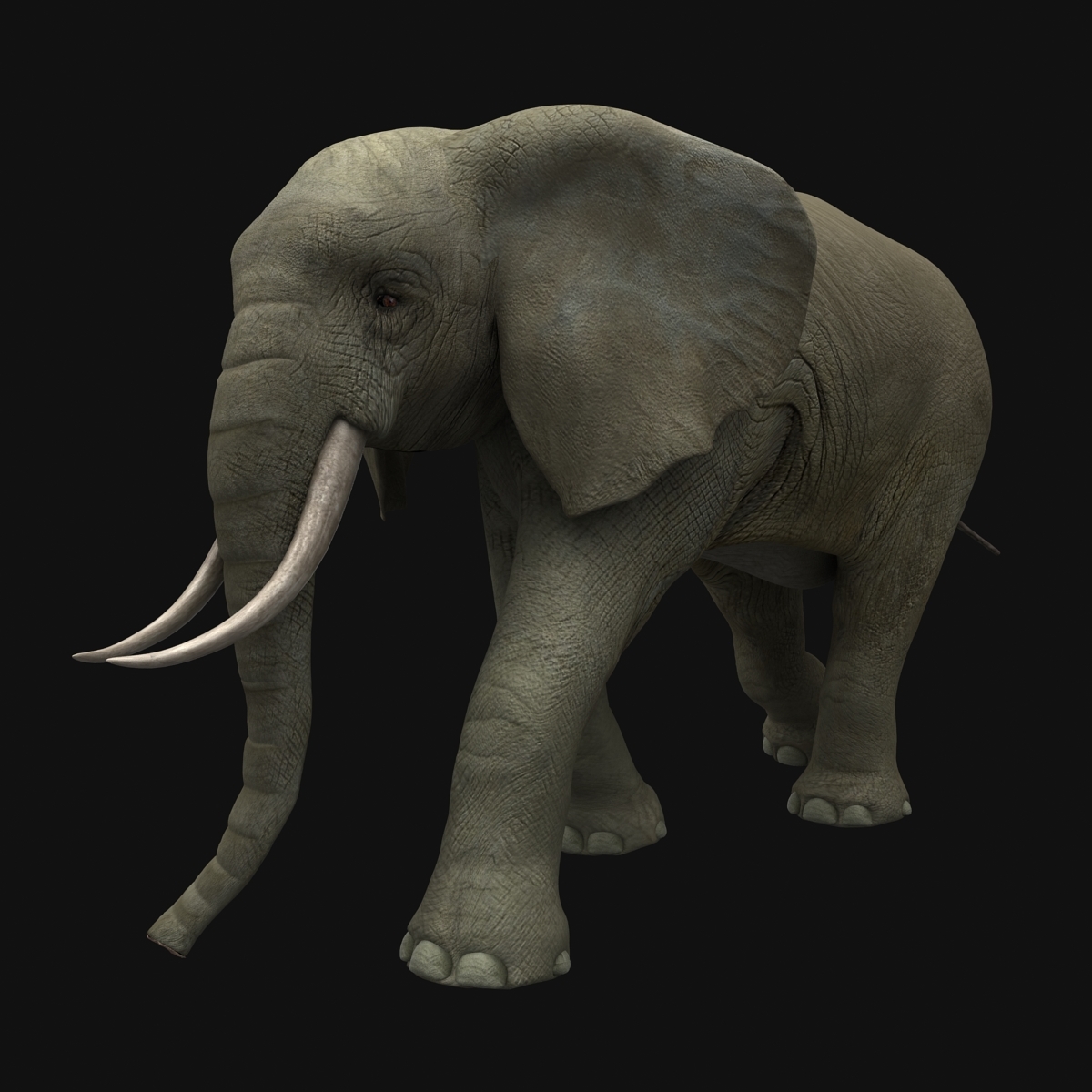 animated elephant toy