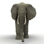 max elephant animation