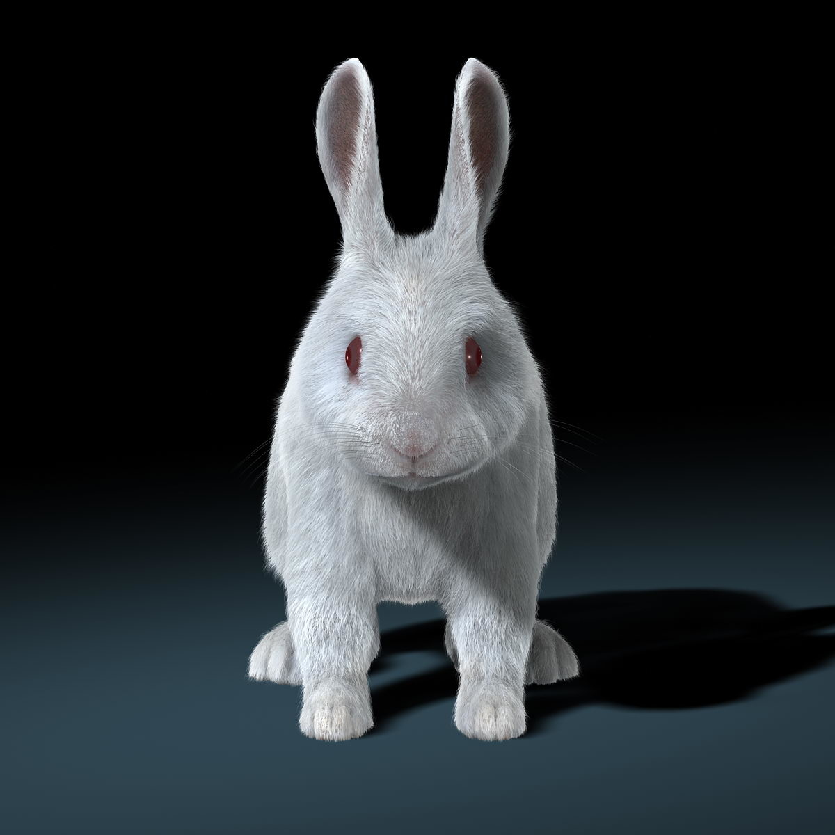 obj rabbit white fur