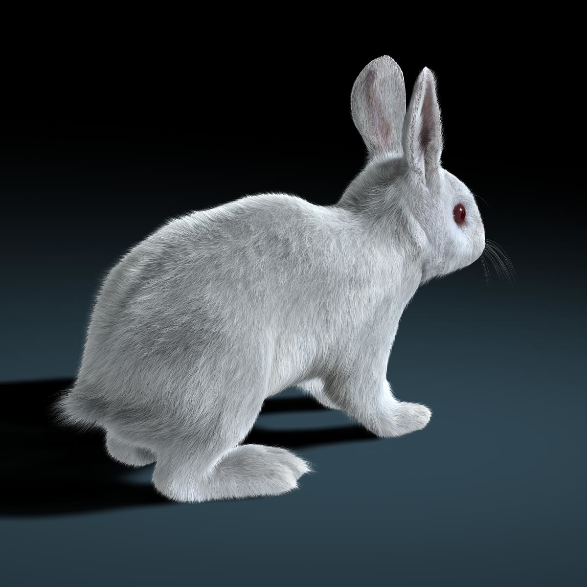 obj rabbit white fur