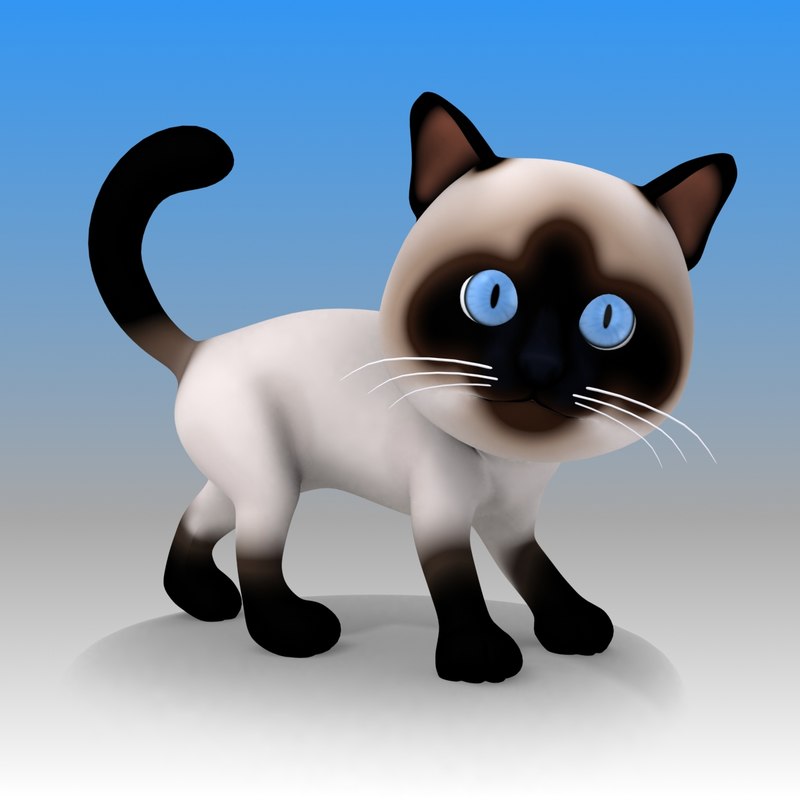 3d cat cartoon rigged