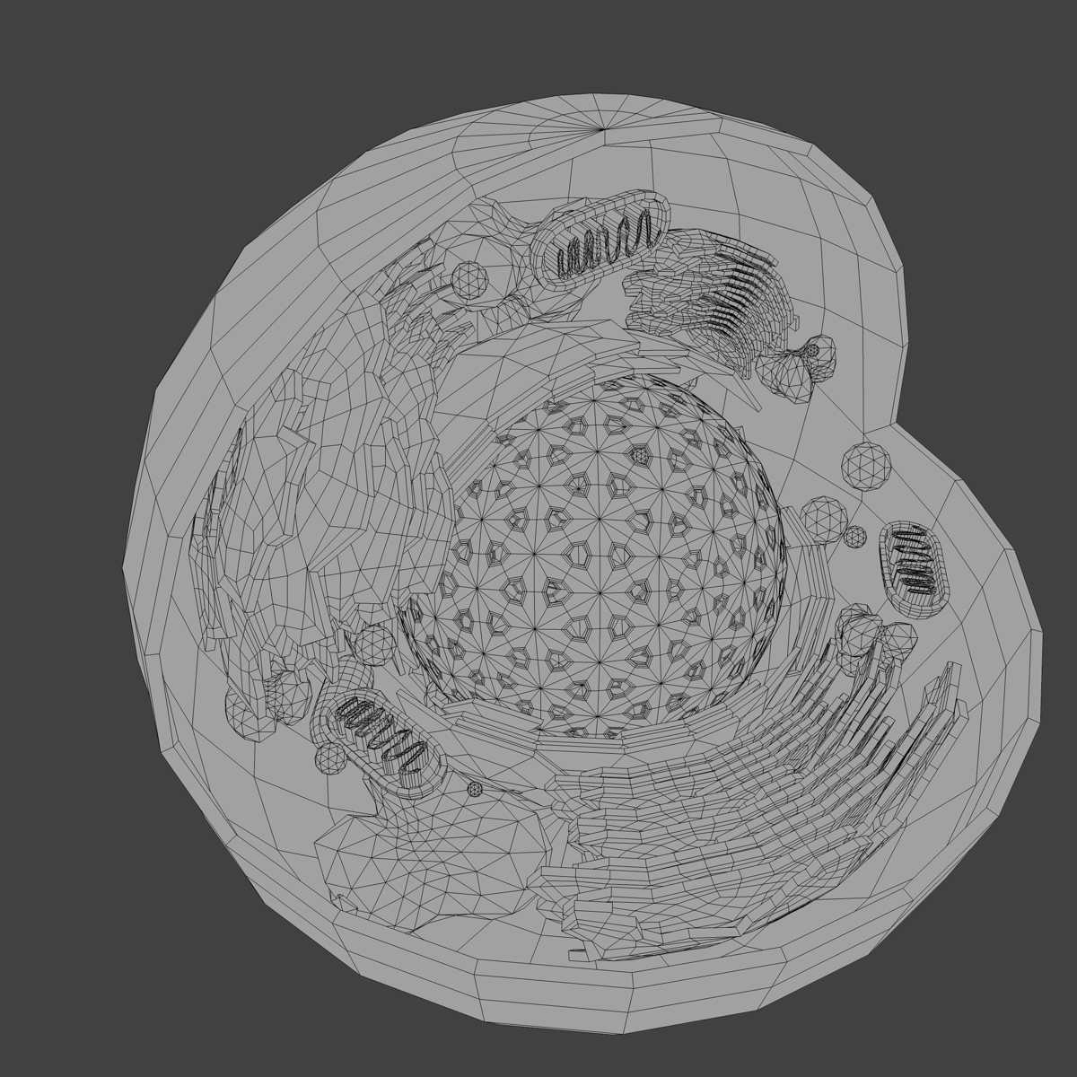 真核细胞3d模型图图片