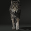 wolf fur animations 2 3d model