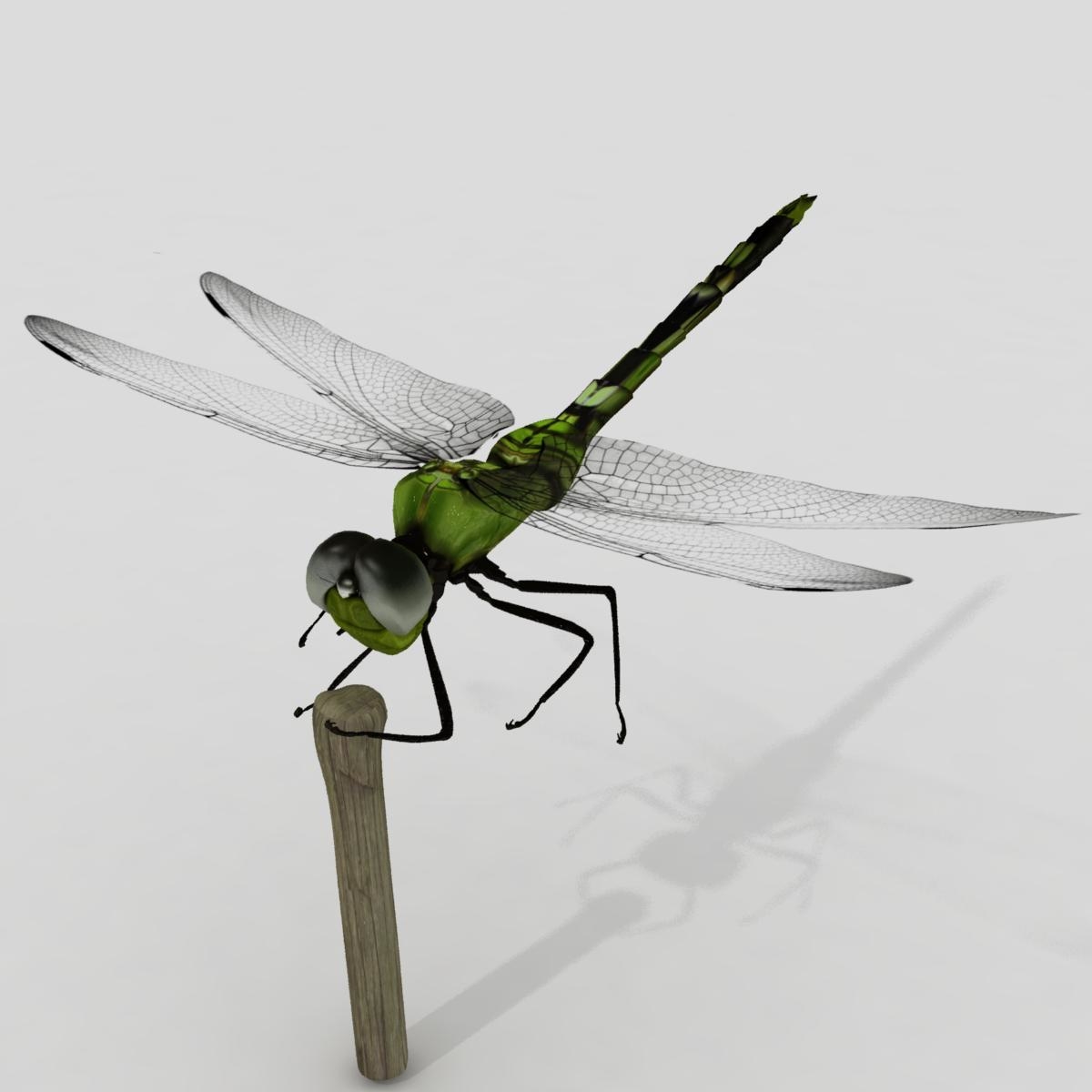 dragonfly max