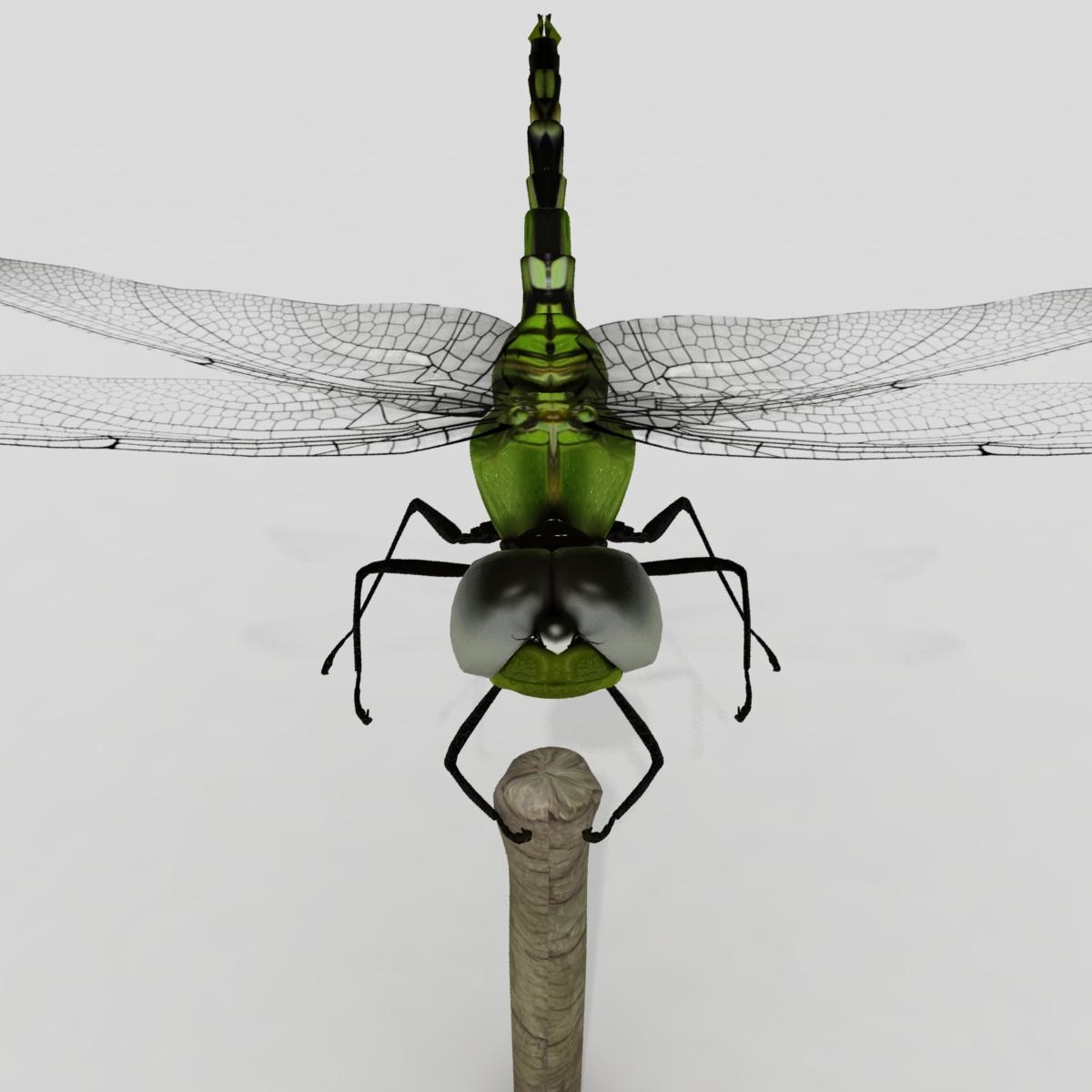 Dragonfly Max