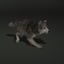 wolf fur animations 2 3d model