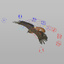 3d model hawk rigged animator