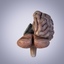 brain anatomy cerebellum 3d model