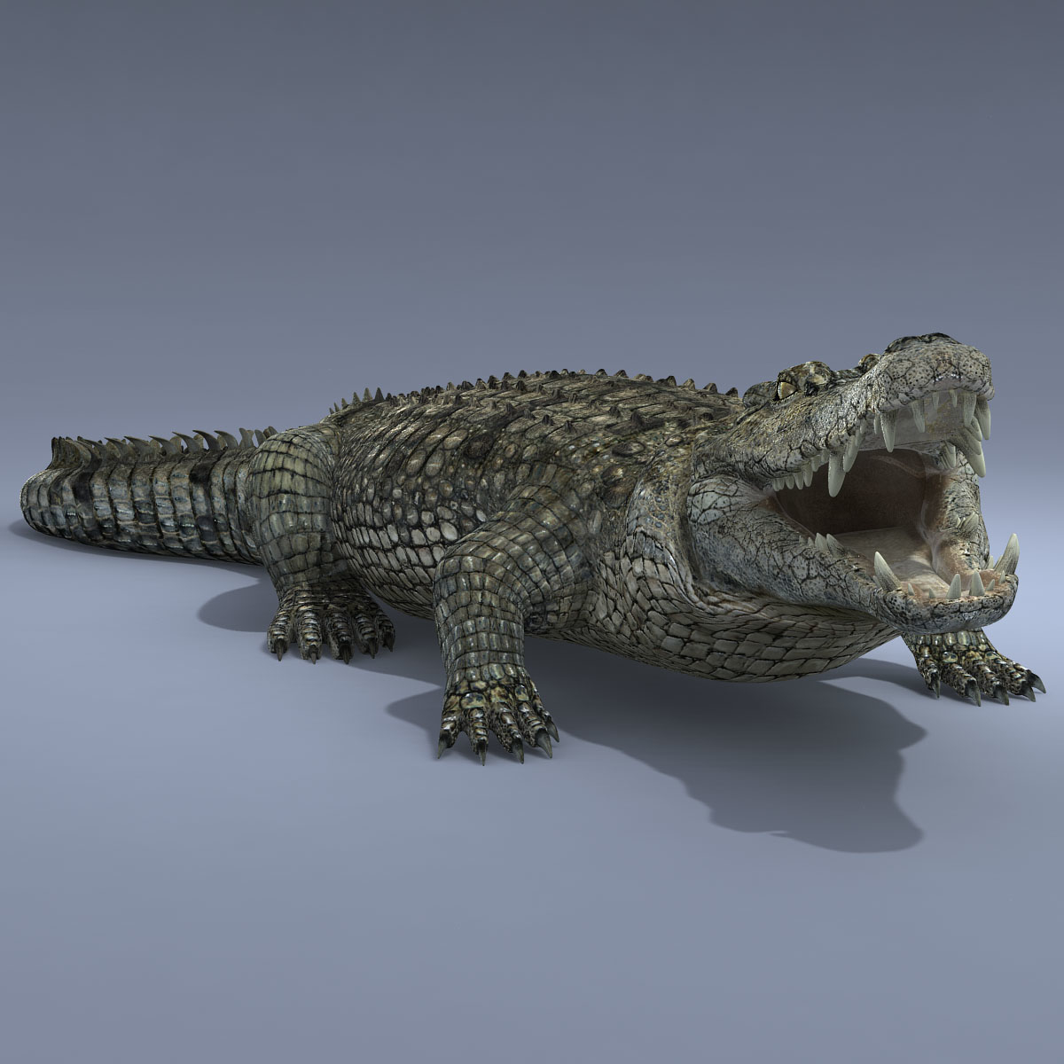 крокодил stl. моделька крокодила. крокодил из бисера. Alligator 3d max. Animated крокодил.