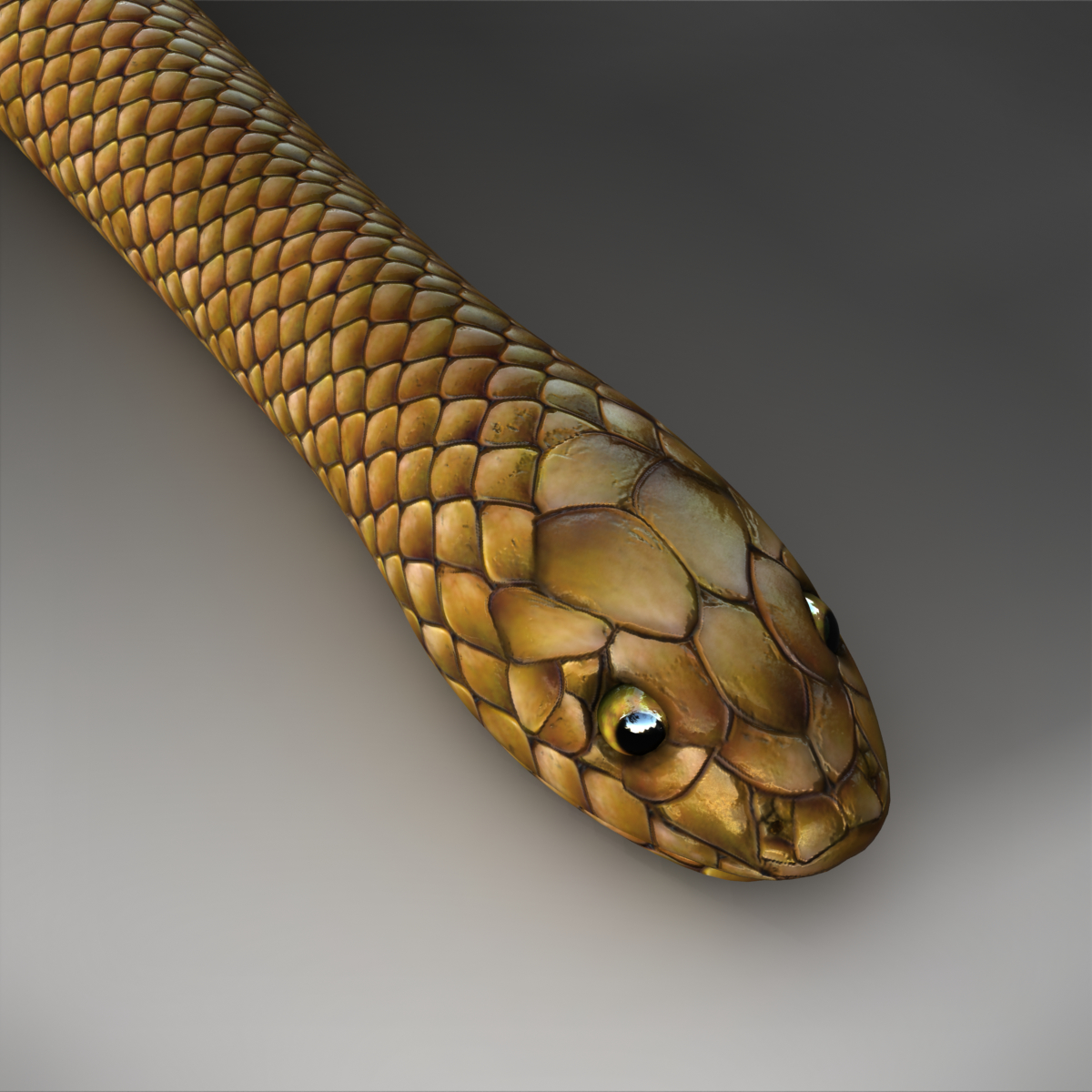 snake rigged 3d model