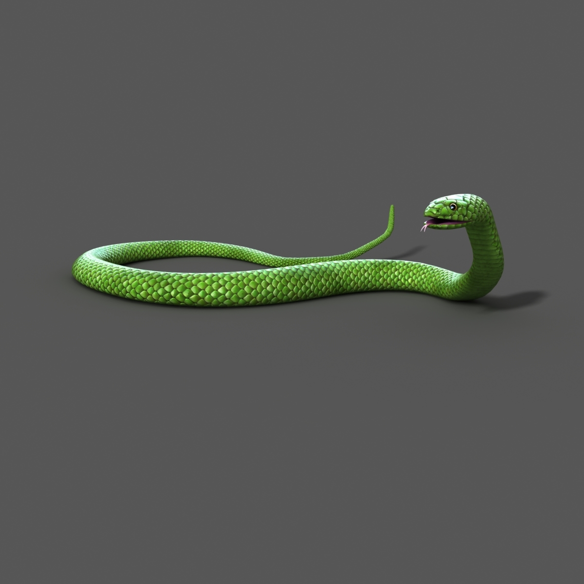 snake rigged 3d model