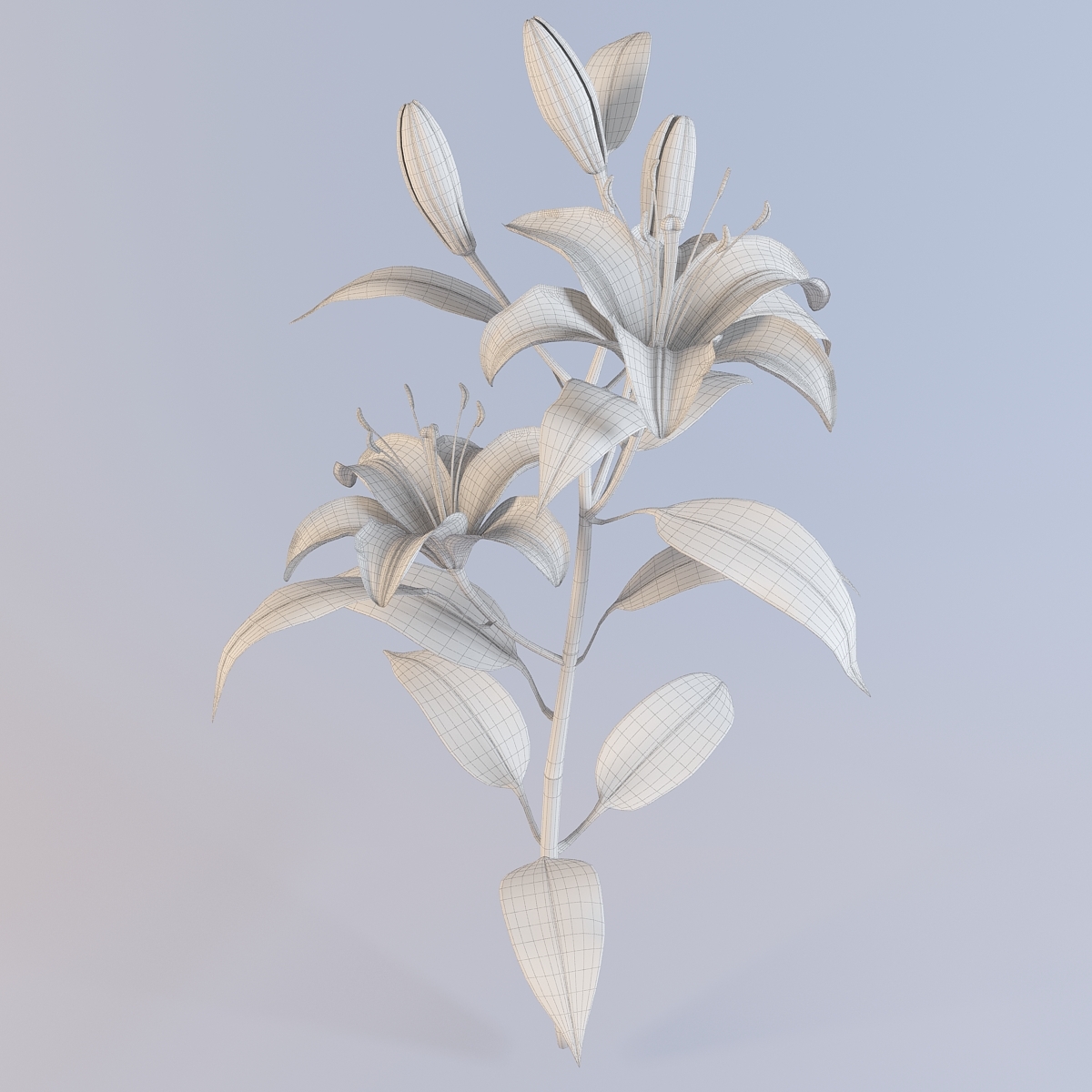 3d lily petal leaf