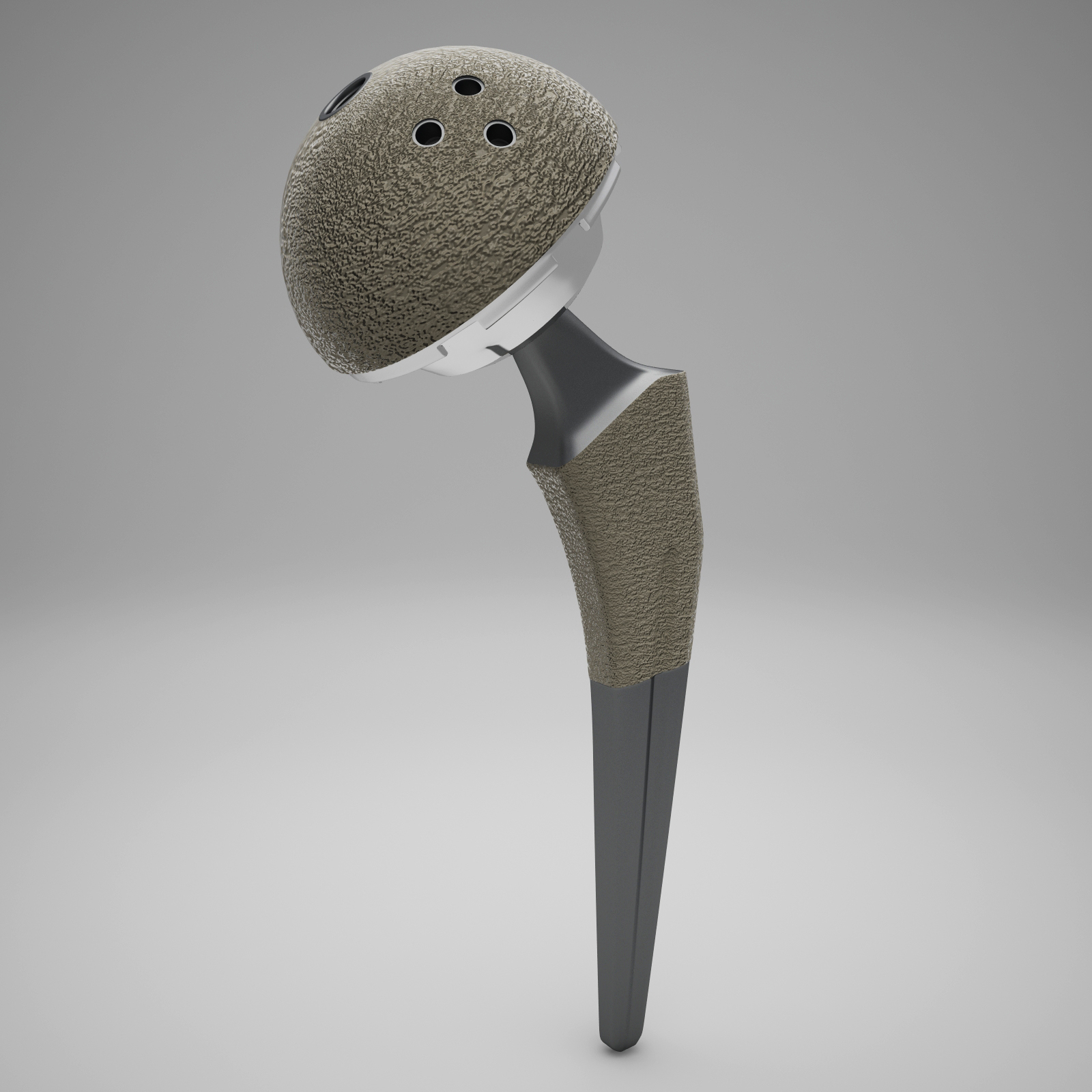 femoral prosthesis 3d model