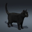 3d ma cat black fur animations