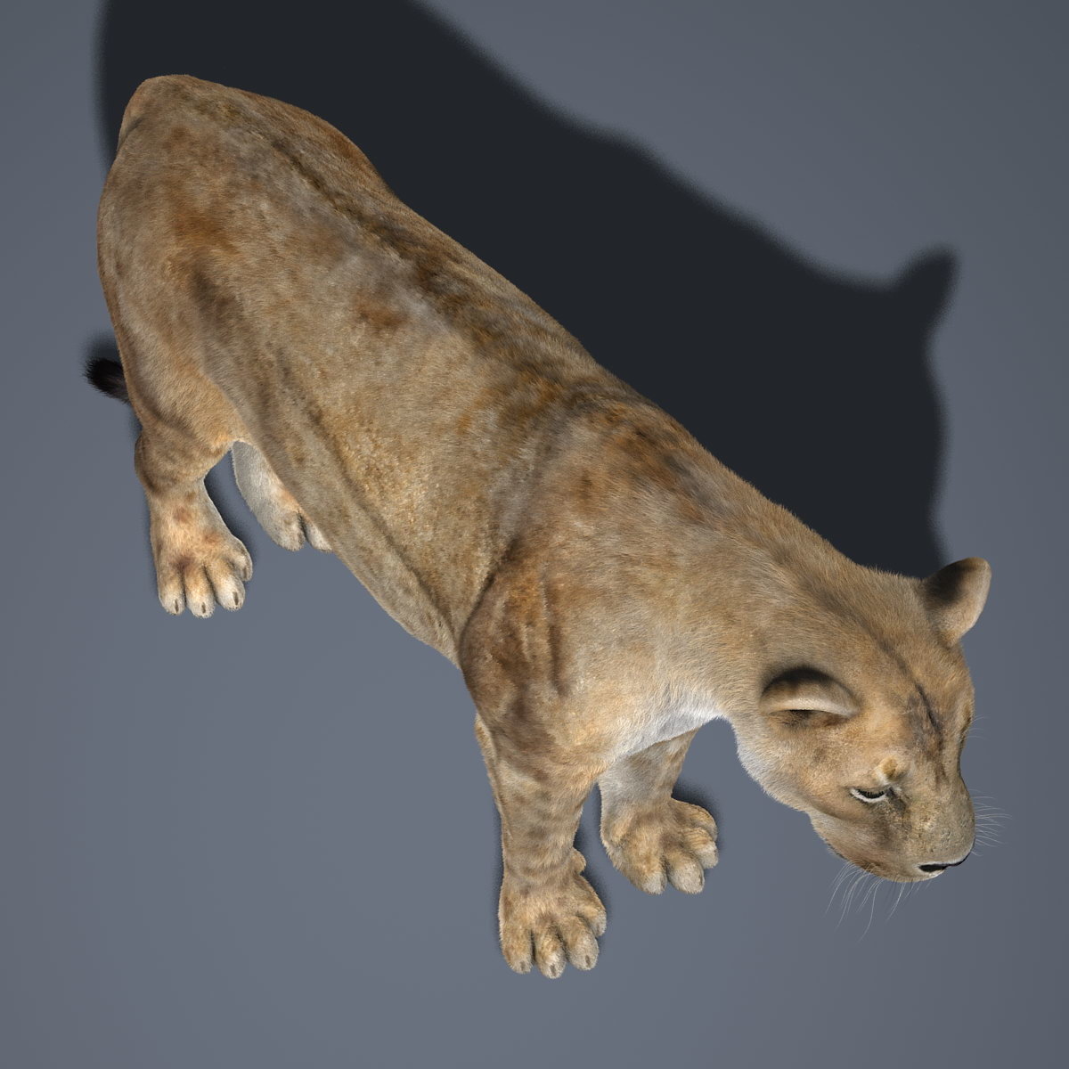Lioness Drita Faux Fur Camel