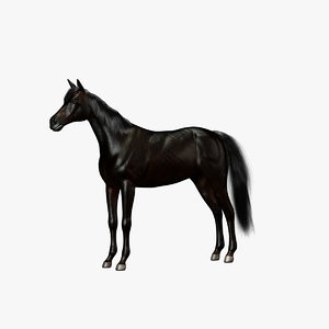 black horse 3d max