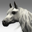 cinema4d ged horse animation poses