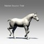 cinema4d ged horse animation poses