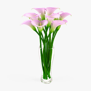 3d vase calla flowers
