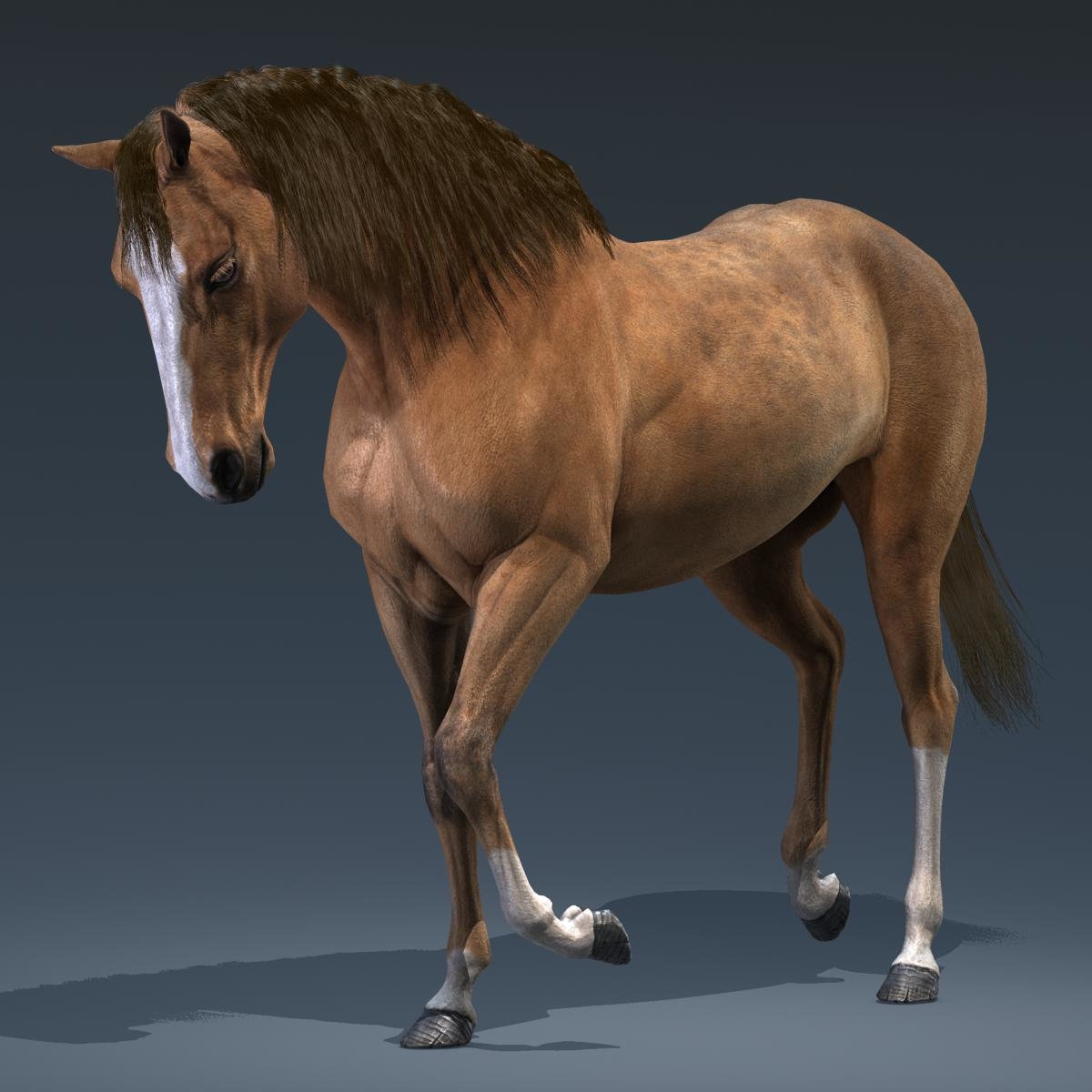 download 3d horse model in photoshop
