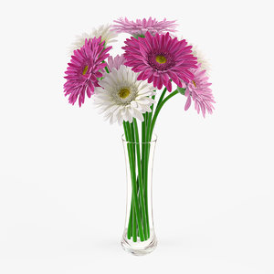 3d vase gerbera flowers
