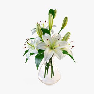 lily vase 3d model