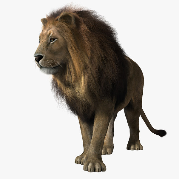 Lion Rigged Fur 3d Model