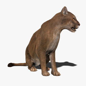 maya cougar fur animation