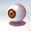 3d model of human eye animate -