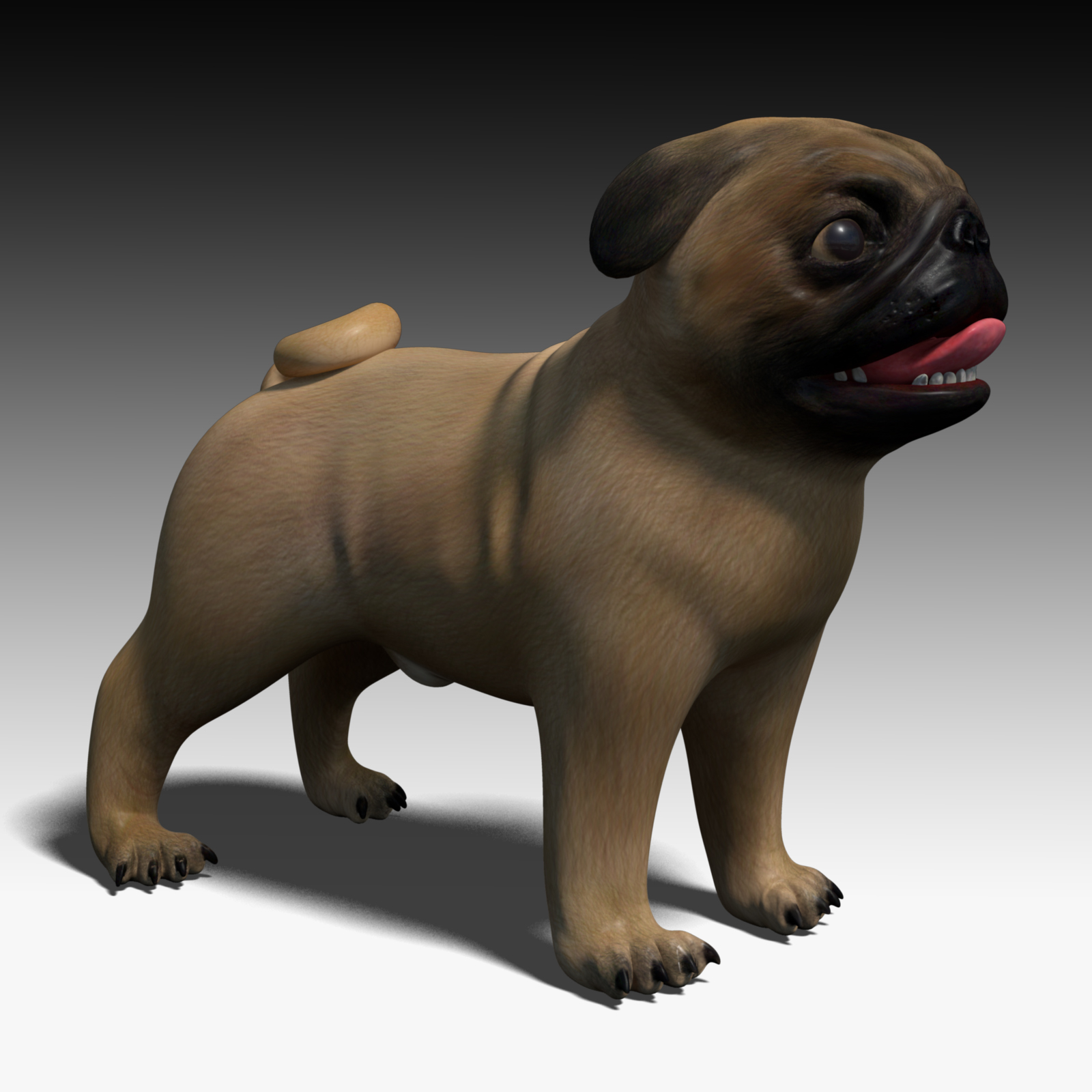 Мопс 3d. Мопс 3д. Мех мопса. Мопс 3д. Собачка 3d мопс.