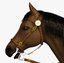3d realistic horse saddle model