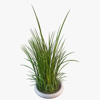 grasses 3d models