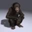 3d chimp fur animation