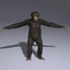 3d chimp fur animation