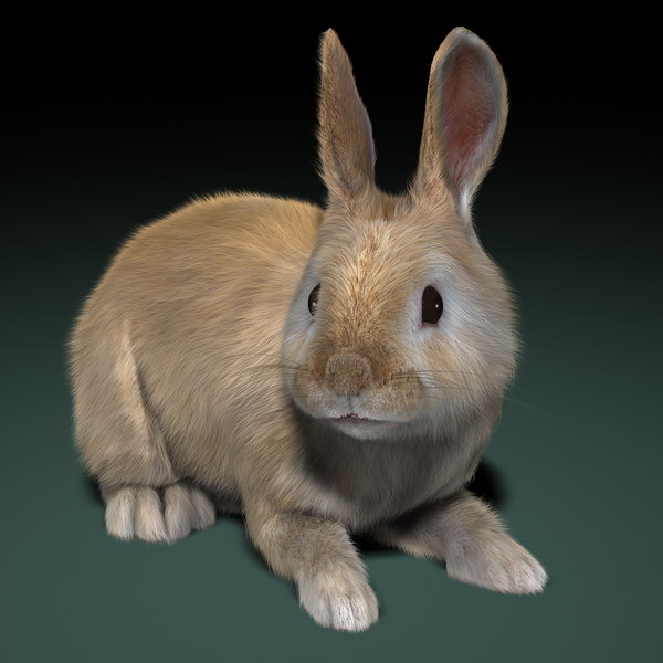 rabbit cream rigged fur 3d model