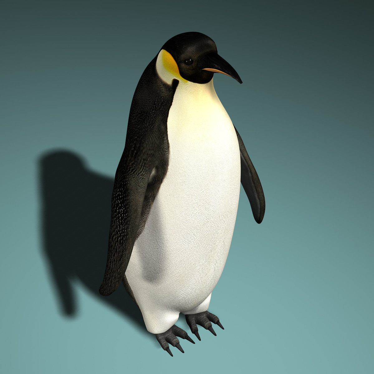 3d penguin rigged model